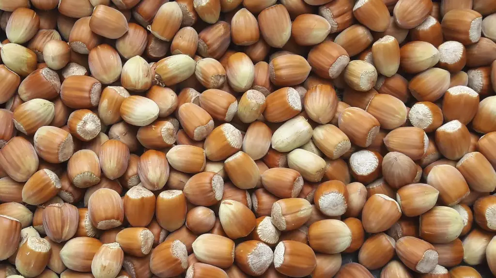 Noisette 